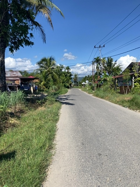 Foto Survey