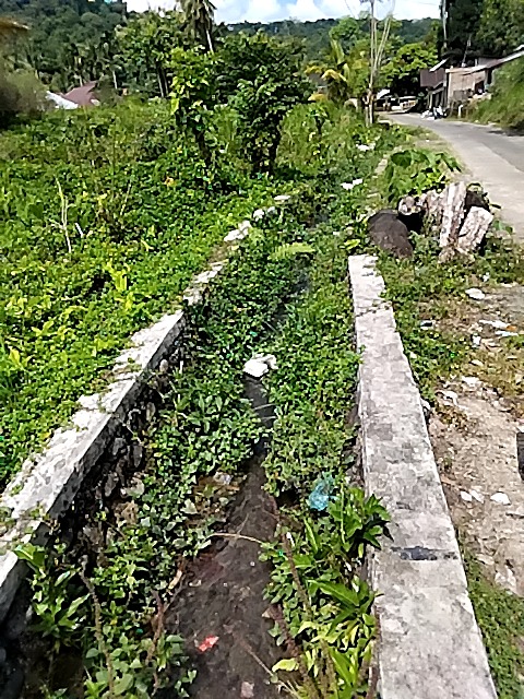 Foto Survey