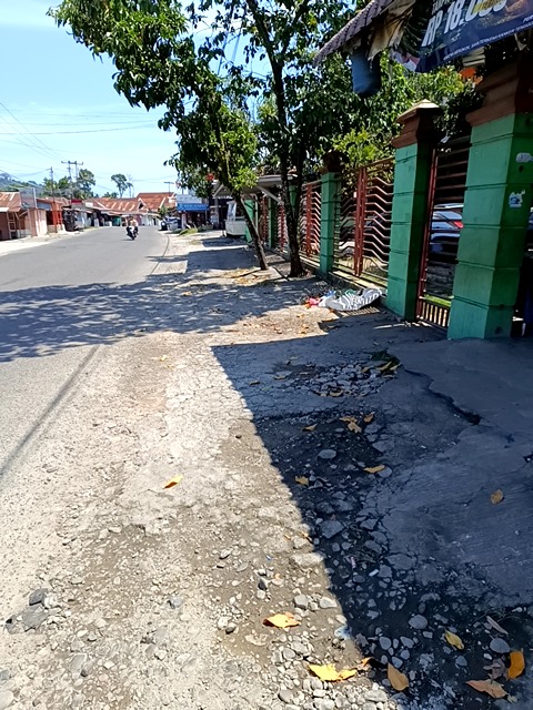 Foto Survey