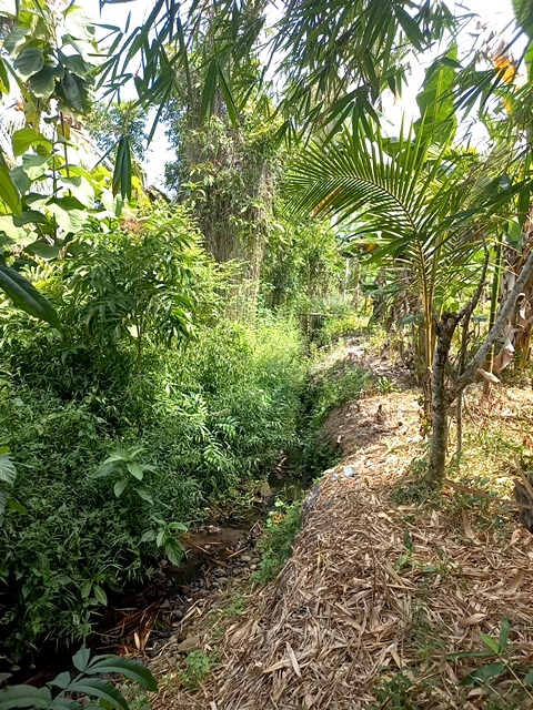 Foto Survey
