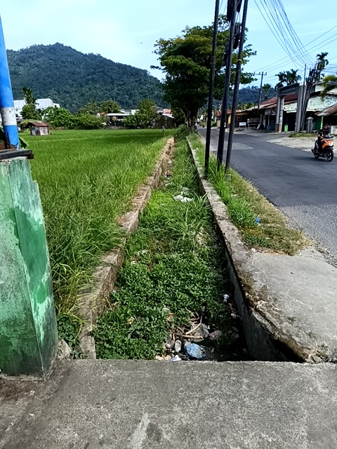 Foto Survey
