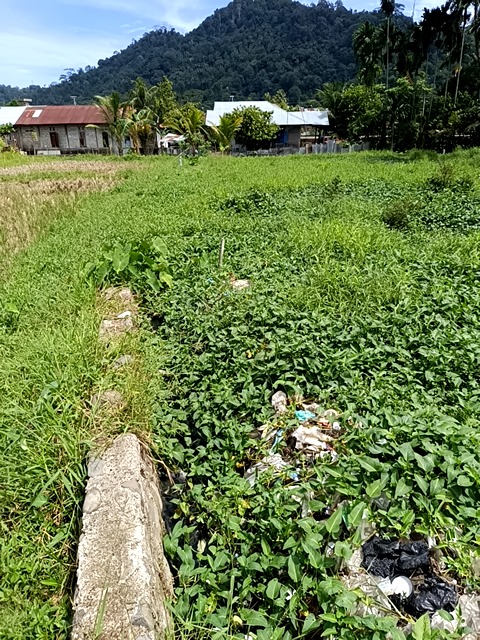 Foto Survey