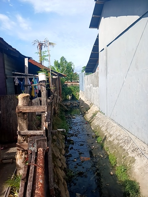 Foto Survey