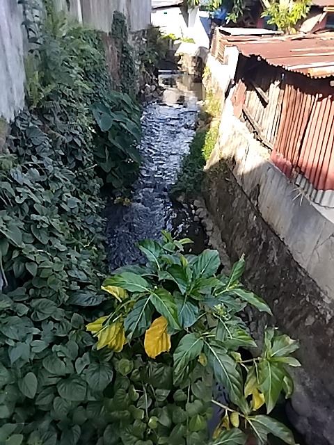Foto Survey