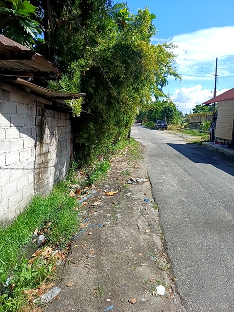 Foto Survey